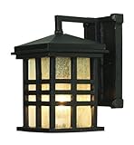 Trans Globe Lighting 4635 WB 1-Light Coach Lantern, Weathered Bronze [並行輸入品]