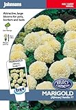 英国ミスターフォザーギルズシード＆ジョンソンシードMarigold Vanilla マリーゴールド・バニラ