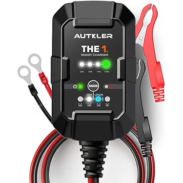 Amazon.co.jp 最新リリース: 車用バッテリー充電器 の新着ランキングです。