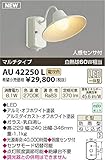 コイズミ照明　アウトドアライト【AU42250L】
