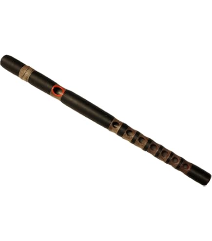 Amazon | 【雅楽入門用 龍笛（竜笛）精巧樹脂製】高ピッチ(440HZ) 指孔