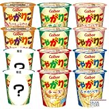 カルビー じゃがりこ バラエティ 12個セット（サラダ・チーズ・じゃがバター・九州しょうゆ）｜ぐんまちゃんレジ袋＆オリジナルポケットティッシュ付き