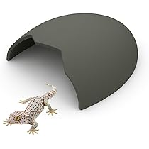 51ISEDKnbVL._AC_UL210_SR210,