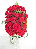60本 red rose 赤い バラ アレンジ 2015年Ver. プリザーブドフラワー