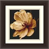 Framedアートプリント 18" X 18" DSW01179