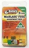 WirthCo 30913 Battery Doctor Fuse Assortment, 6 Piece (ATM MINI - Includes 5, 7.5, 10, 20, 25, 30 AM