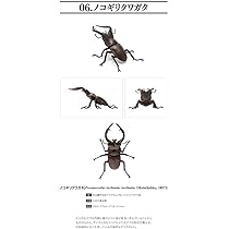 51ITY3vEFKL._AC_UL210_SR210,