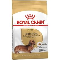 Amazon.co.jp: ロイヤルカナン ダックスフンド 成犬用 1.5kg 生後10