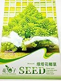 【野菜種】変わり種ブロッコリー　珍しい品種