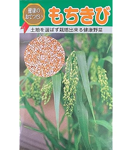 もち種籾　3キロ　ハッピーヒル代用の陸稲種子　稲作に挑戦！楽しむ米作り Amazon.co.jp: もち種籾300g 陸稲種籾 ハッピーヒル代用 お米の種