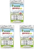 石原バイオ シバゲンDF 20g 芝生用除草剤×3袋