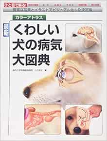 最新くわしい犬の病気大図典 豊富な写真とイラストでビジュアル化した決定版 カラーアトラス 宗次 小方 本 通販 Amazon