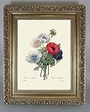 BiblioArt Series　P.J.ルドゥーテ 「アネモネのブーケ」 金縁額装品