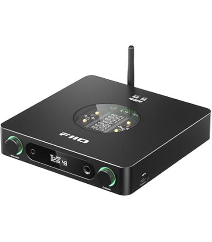 Amazon.co.jp: HIFIMAN HE1000 ステルスマグネット平面磁気フルサイズ