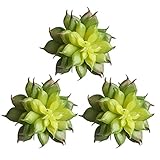 KICODE Land Lotus Rare 植物人工植物 人工フェイク DIY Wreathクラフト Unpotted 3pcs