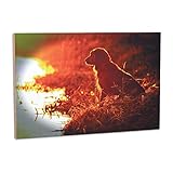 ビッグSky Carvers Golden Retriever Sunset壁アート