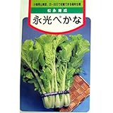 べか菜 種 永光べかな 小袋（約8ml）