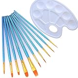 Xpassion 水彩 筆 アクリル絵の具 水彩パレット アクリルケース付き 塗装セット 10本セット