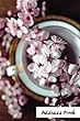 Address Book.: (Flower Edition Vol. E56)Pink Sakura Design Glossy and Soft Cover, Large Print, Font, 6 X 9 for Contacts, Addresses, Phone Numbers, Emails, Birthday and More.
