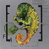 Flavour of the Weak Flavour of the Weak