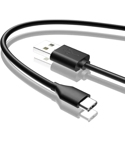 Amazon.co.jp: HD10充電器 6フィートのUSB C充電コード付き Fire