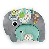 Bright Starts ブライトスターツ トゥーキャンプレイ (11392) Kids II