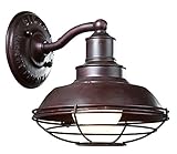 Troy Lighting Circa 1910 8"W Outdoor Wall Light - Old Rust Finish [並行輸入品]
