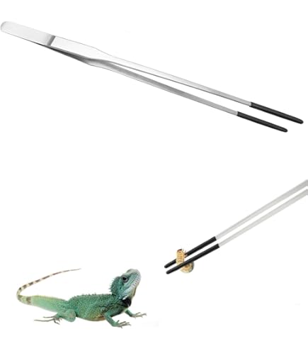 Amazon | ステンレス鋼の爬虫類給餌ツール、爬虫類給餌トング - 15