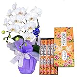 ミディ胡蝶蘭 白色 2本立ち 特選 アマビリス お供えギフトラッピング 鳩居堂のお線香 いかるが 5把入 紙箱 バラ詰 セット 家庭 白檀