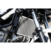Dzell ディーゼル ラジエターコアガード NC750 DCT 装着