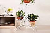 消毒木製フラワースタンド 3レイヤフラワーフレームアイアンDIYの花壺屋外ポットバルコニー室内花棚棚ホームデコレーションフラワーラック 強い支持力 (色 : 白)