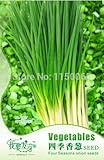 Hot Selling 120pcs Four Seasons Chinese Onion Seed, Chive Seed, Vegetable Seed, Bonsai Pot Plant Hom