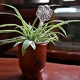 Liebeye 自動散水ボトル 鉢花・観葉植物の自動給水器 園芸 用 給水 キャップ 野菜 植物 留守用 直径7cm高さ24.5cm 花形
