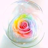 【楽天ランキング1位】【高級プリザーブドフラワー】【 花径１２cm大輪バラ 】ハートのユメ パステルレインボーローズ 　ラウンドガラスドーム　Lサイズ　プリザーブドフラワー枯れない夢のお花