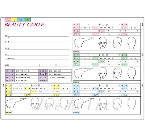 Amazon Deeds 顧客カルテa 250枚 サロン カルテ エステ 美容室 Dp Salon Professional 日用品ギフトセット