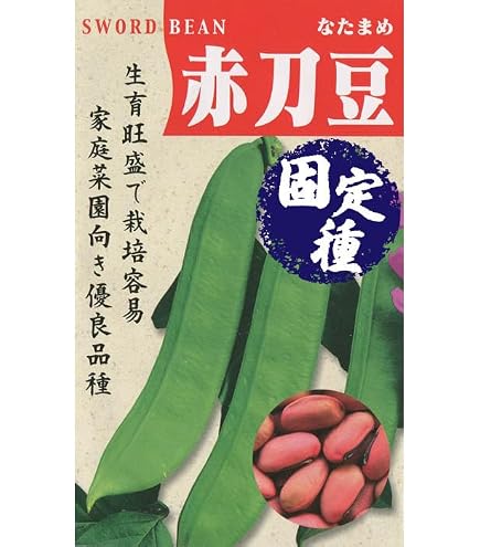 Amazon.co.jp: アサヒ農園 白大刀豆（なた豆の種）【固定種】 小袋(8粒