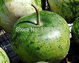 フラワーポットプランターのために成長しやすい種を植え家庭菜園用の希少な5ひょうたんの種リンゴのひょうたんの種