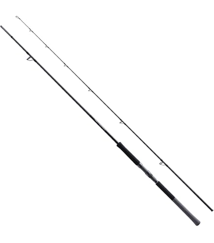 シマノ ソルティアドバンス ショアジギング S96MH Amazon | シマノ(SHIMANO) ジギングロッド 25ソルティーアドバンス