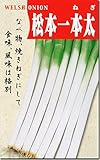 ネギ種子・松本一本太ねぎ（40ml）