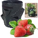 Beito 植え袋 プランター 植木鉢 イチゴ栽培 野菜 8ポケット PE 35x45cm ガーデンニング 家庭園芸