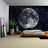 wall26 Wall Muralシリーズ 自己接着式壁紙 大型 66"x96" WMR-WP-X-C636-66x24x4
