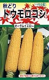 トーホク トウモロコシ 秋どりオータムイエロー