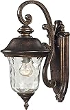 Elk 45020/1 8 by 16-Inch Lafayette 1-Light Outdoor Wall Sconce with Blown Water Glass Body, Regal Br