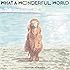What A Wonderful World(アナログ)