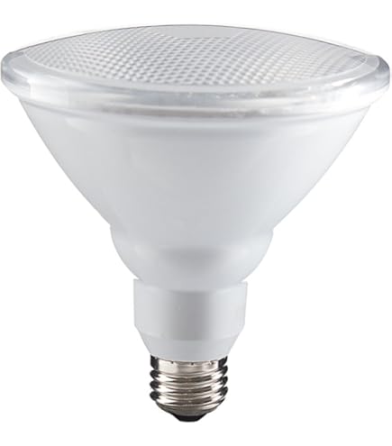 Amazon | パナソニック ハイビーム電球 100ワット形 BF110V80W