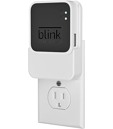 Amazon.co.jp: Blink 屋外カメラマウント 360度調節可能 屋内