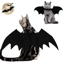 51InWLIV4cL._AC_UL210_SR210,