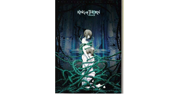 Amazon 映画パンフレット いばらの王 King Of Thorn 監督 片山一良 出演 声 花澤香菜 森川智之 矢島晶子 アートフレーム ポスター オンライン通販