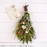 ハーベストグリーンキット ナチュラルスワッグ 植物本来の香り かたち 風合いを楽しむグリーンキット