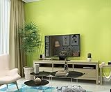 Ayzr 防水ソリッドプレーンを拭き取り塩ビ系壁紙、緑の壁紙ホテルショップストロー